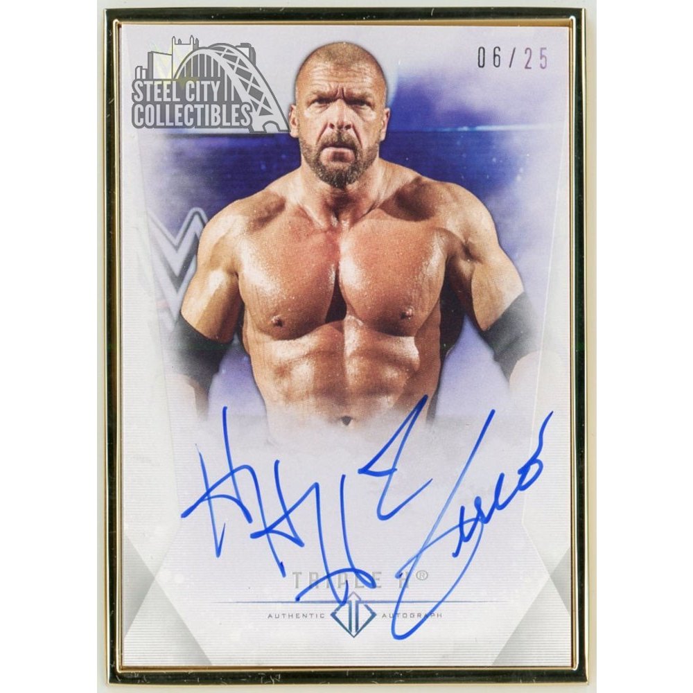 WWE TOPPS プロレスカード フィンベイラー アンダーソン サインカード