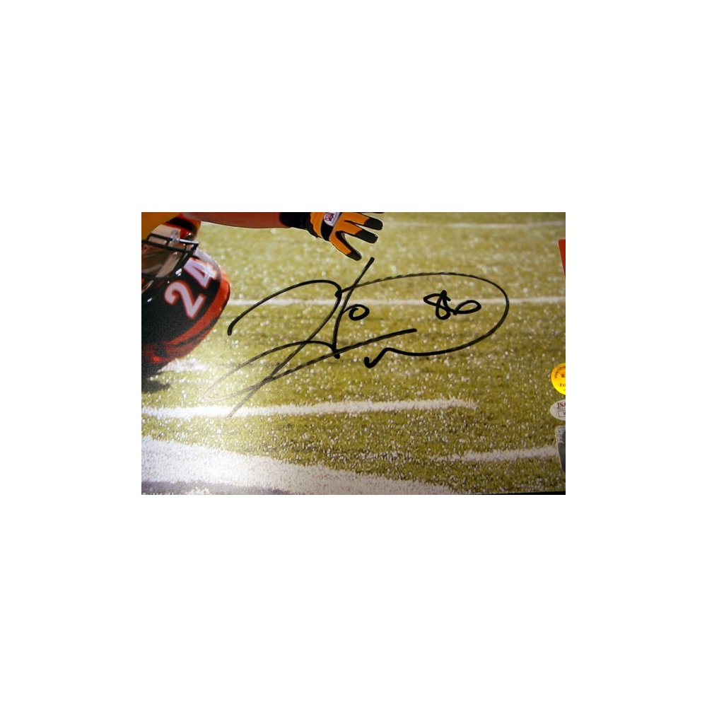 Hines Ward Pittsburgh Steelers Signed/Autographed 16x20 Photo JSA 161840