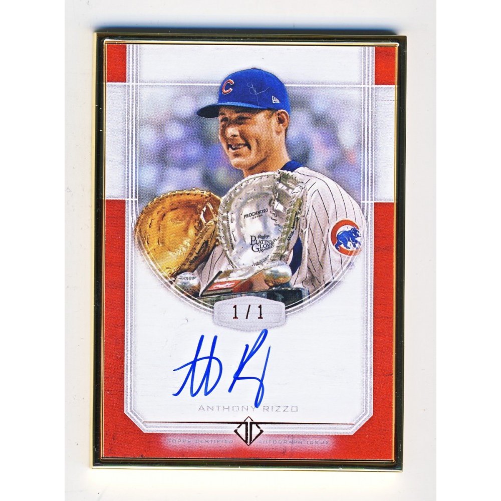 Anthony Rizzo Memorabilia, Anthony Rizzo Collectibles, Verified Signed  Anthony Rizzo Photos