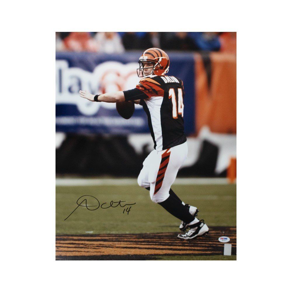 Andy Dalton Autographed Cincinnati Bengals 16x20 Photo - PSA/DNA COA