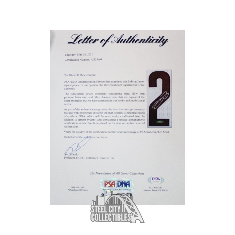 LeBron James Signed Cavaliers Pride Jersey (UDA)
