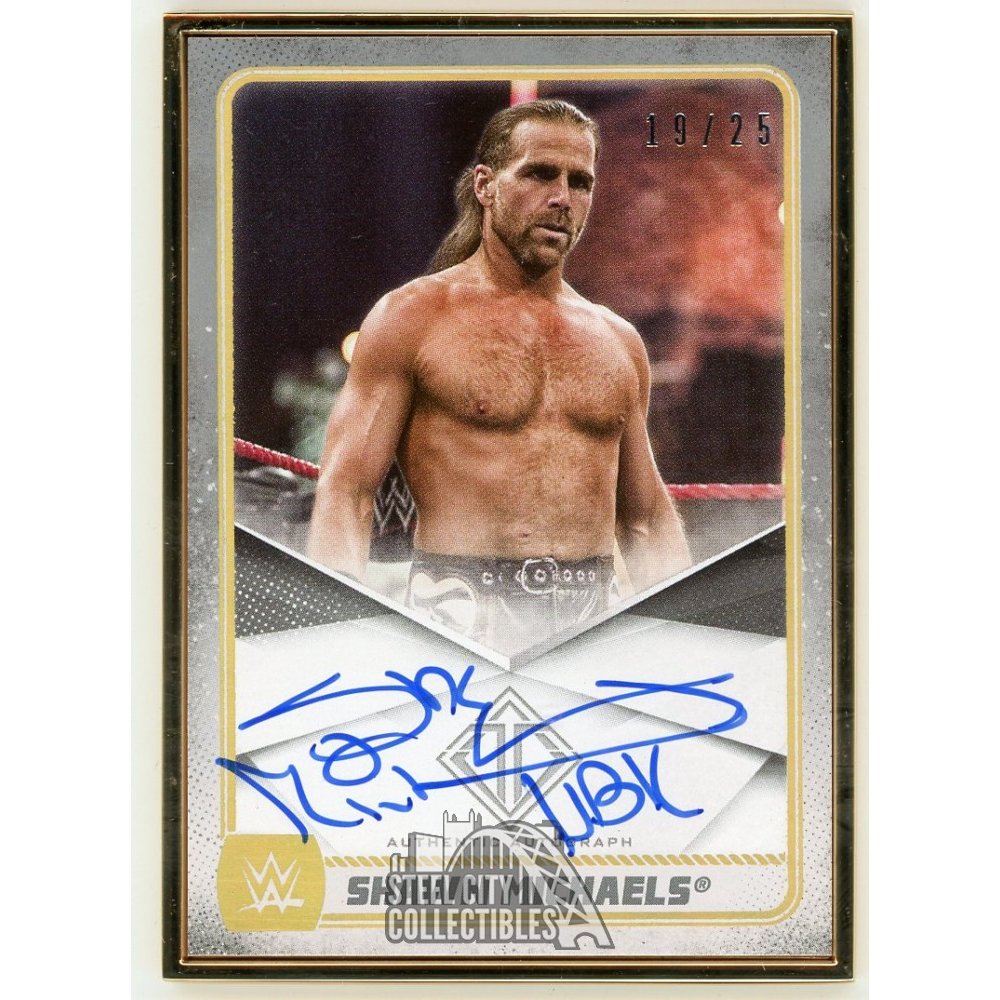 Shawn Michaels Autographed hotsell card authenticated