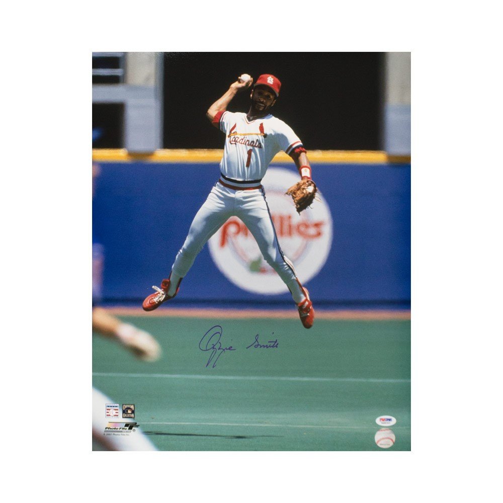 Ozzie Smith Signed St Louis Cardinals Jumping Throw Action 16x20 Photo -  PSA/DNA