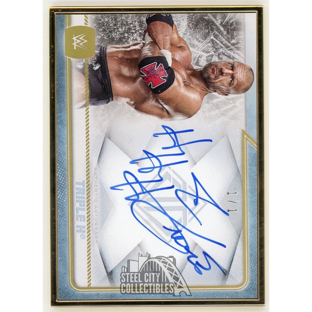 WWE TOPPS プロレスカード フィンベイラー アンダーソン サインカード