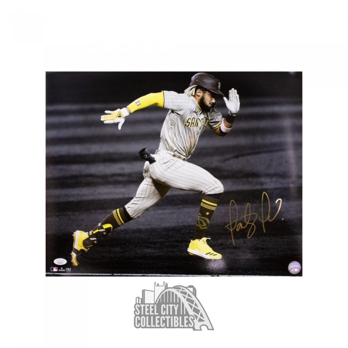 Fernando Tatis Jr Autographed San Diego Brown Custom Baseball Jersey  10-Count Lot - BAS